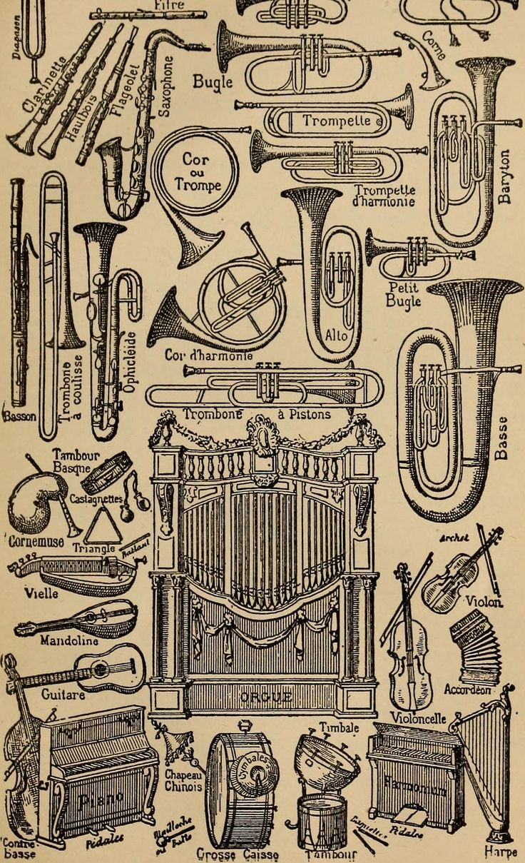 Μουσικά Όργανα