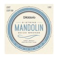 D'Addario EJ62 80_20 Bronze Mandolin Strings, Light, 10-34