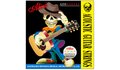 ALICE A206-SL Super Light Acoustic FOLK Guitar Strings with Steel Core and Alloy Wound