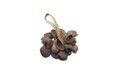 Toca Seed Shell Shaker