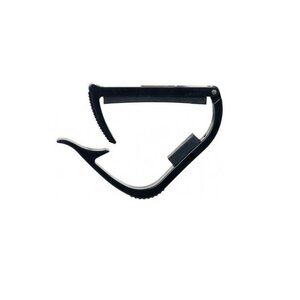 kapotasto akoustikis kitharas