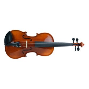 violi mousiko organo strunal tsexias