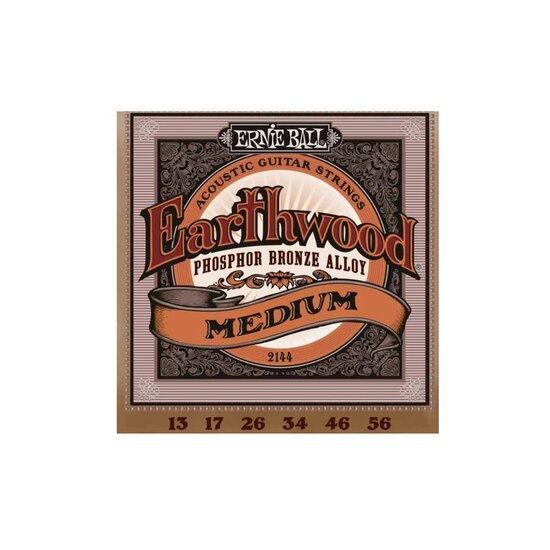 xordes akoustikis kitharas ernie ball013