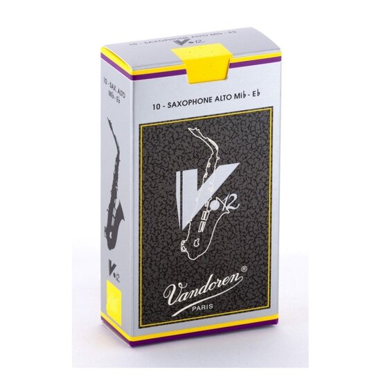 kalami alto sax v12